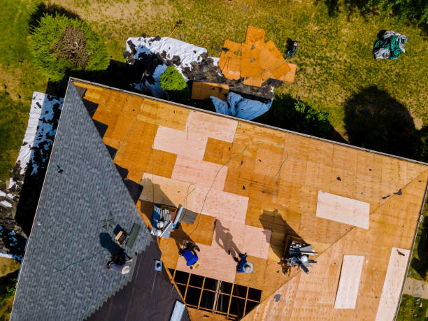 Best Tile Roofing Contractor  in Ypsilanti, MI