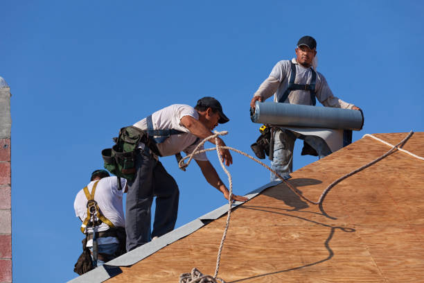 Best Roof Leak Repair  in Ypsilanti, MI